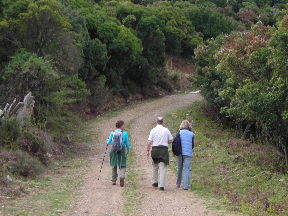 Ikarian Centre - Accommodation & Mountain Hiking إفديلوس المظهر الخارجي الصورة