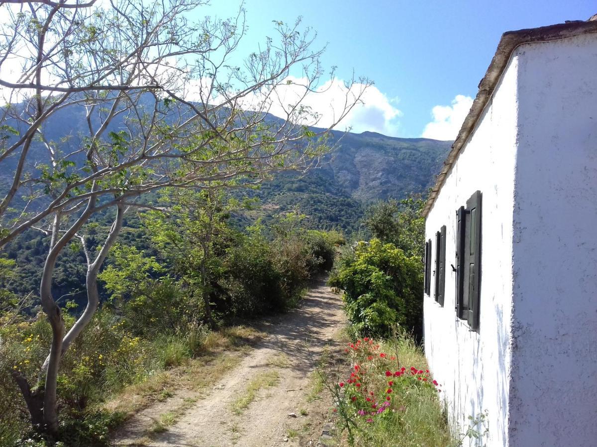 Ikarian Centre - Accommodation & Mountain Hiking إفديلوس المظهر الخارجي الصورة