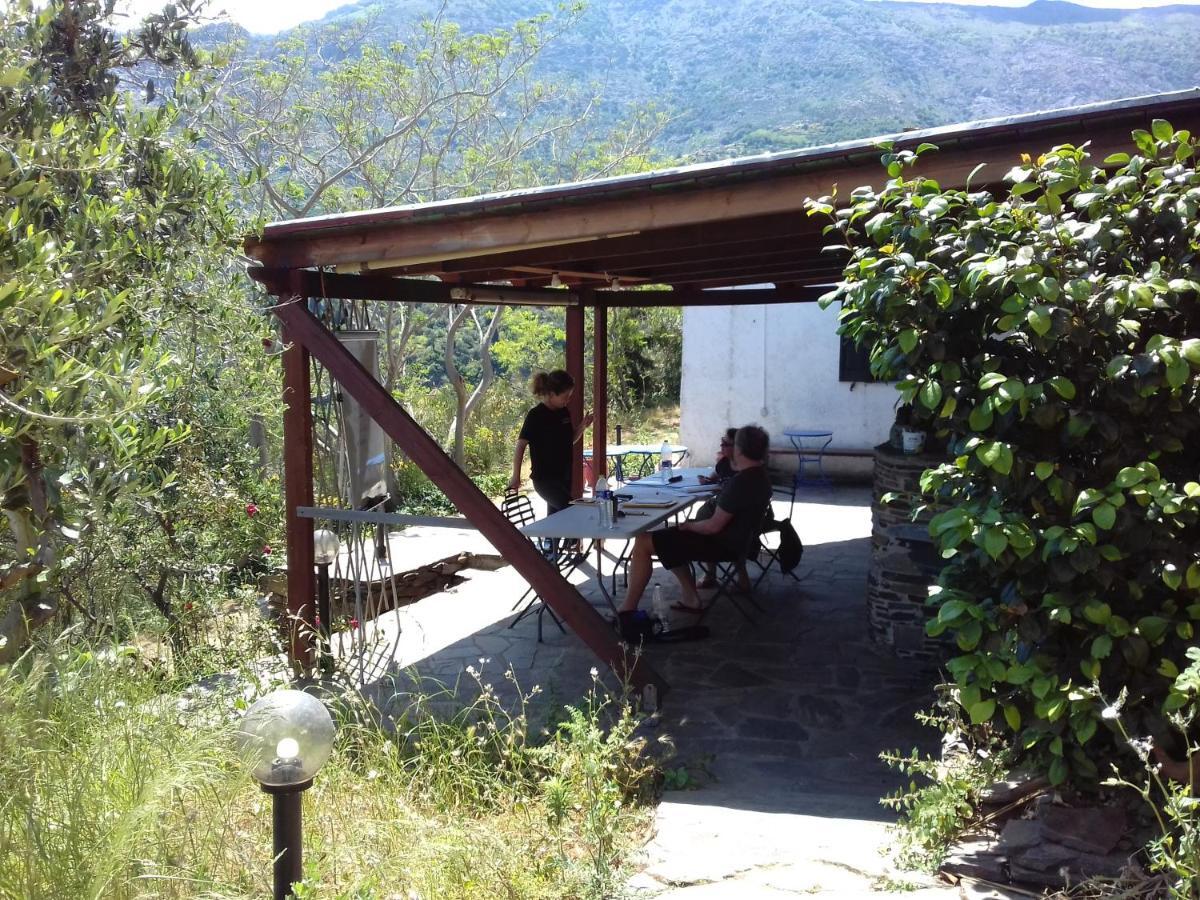 Ikarian Centre - Accommodation & Mountain Hiking إفديلوس المظهر الخارجي الصورة