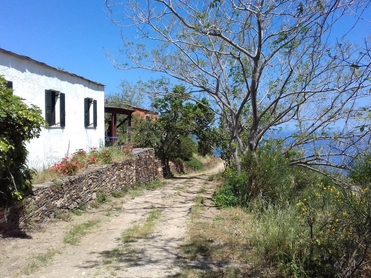 Ikarian Centre - Accommodation & Mountain Hiking إفديلوس المظهر الخارجي الصورة
