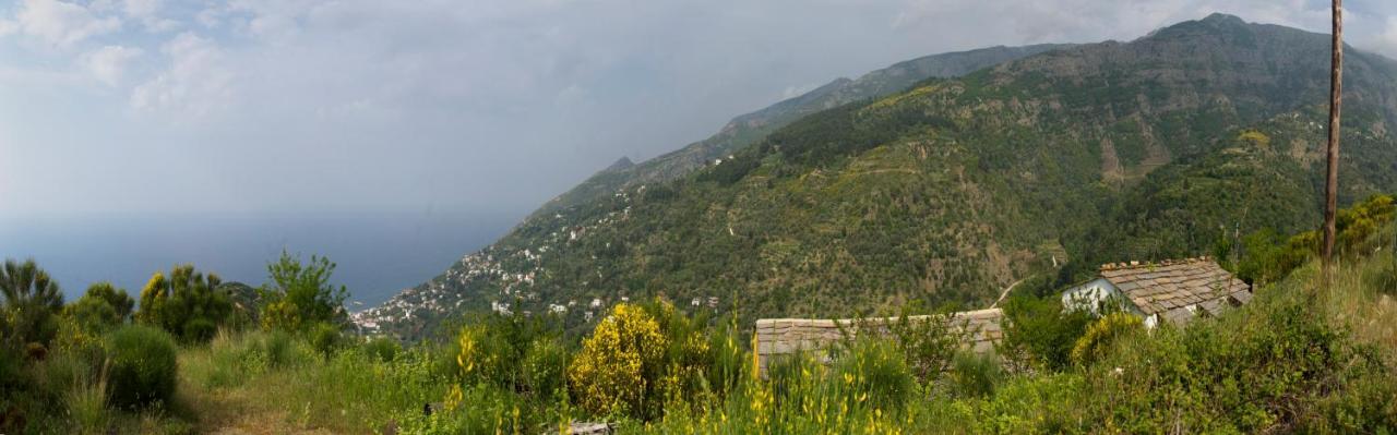 Ikarian Centre - Accommodation & Mountain Hiking إفديلوس المظهر الخارجي الصورة