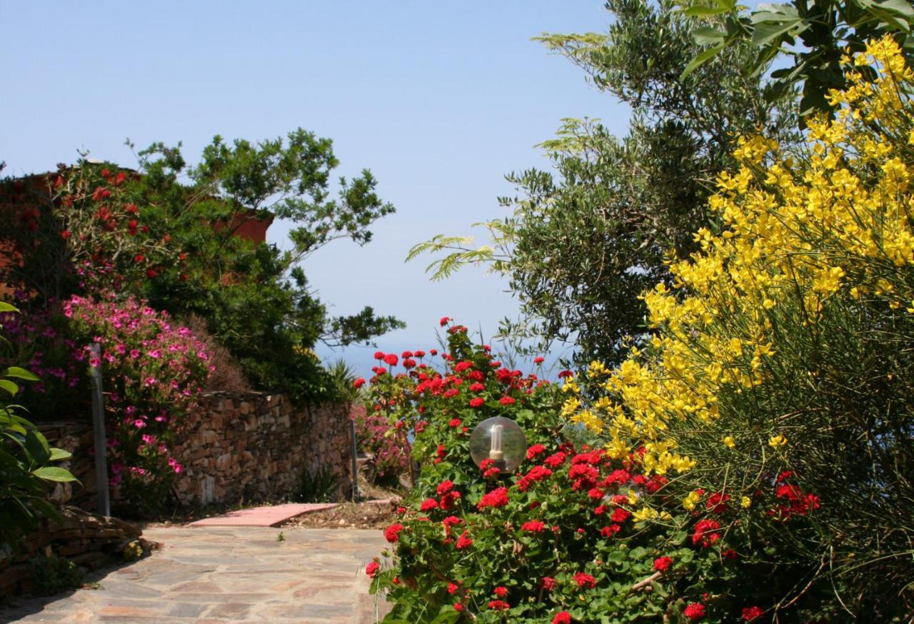 Ikarian Centre - Accommodation & Mountain Hiking إفديلوس المظهر الخارجي الصورة