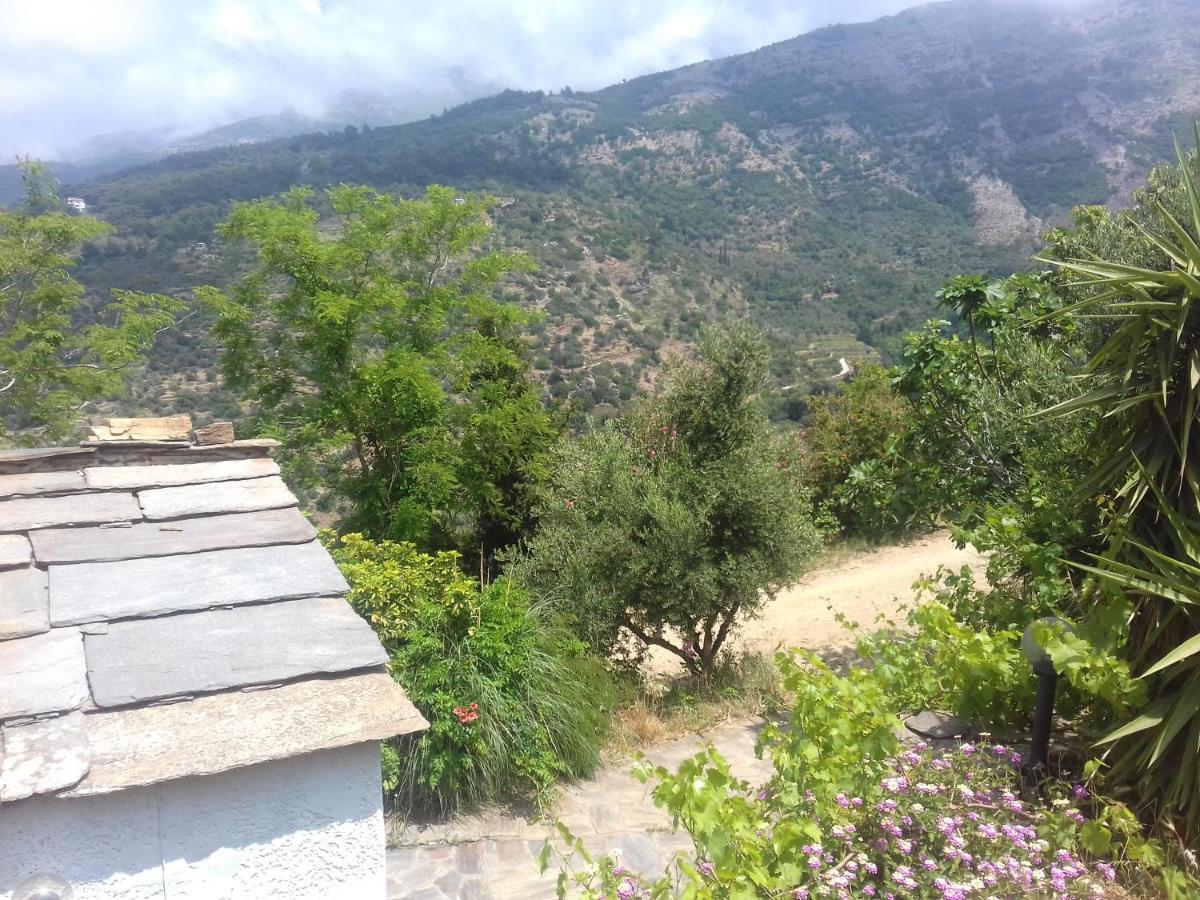 Ikarian Centre - Accommodation & Mountain Hiking إفديلوس المظهر الخارجي الصورة