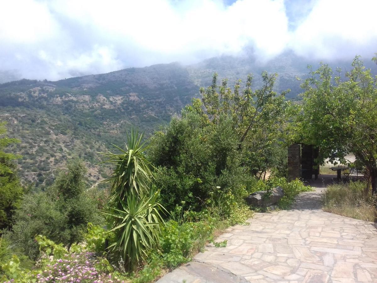 Ikarian Centre - Accommodation & Mountain Hiking إفديلوس المظهر الخارجي الصورة