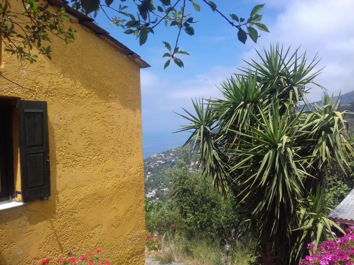 Ikarian Centre - Accommodation & Mountain Hiking إفديلوس المظهر الخارجي الصورة