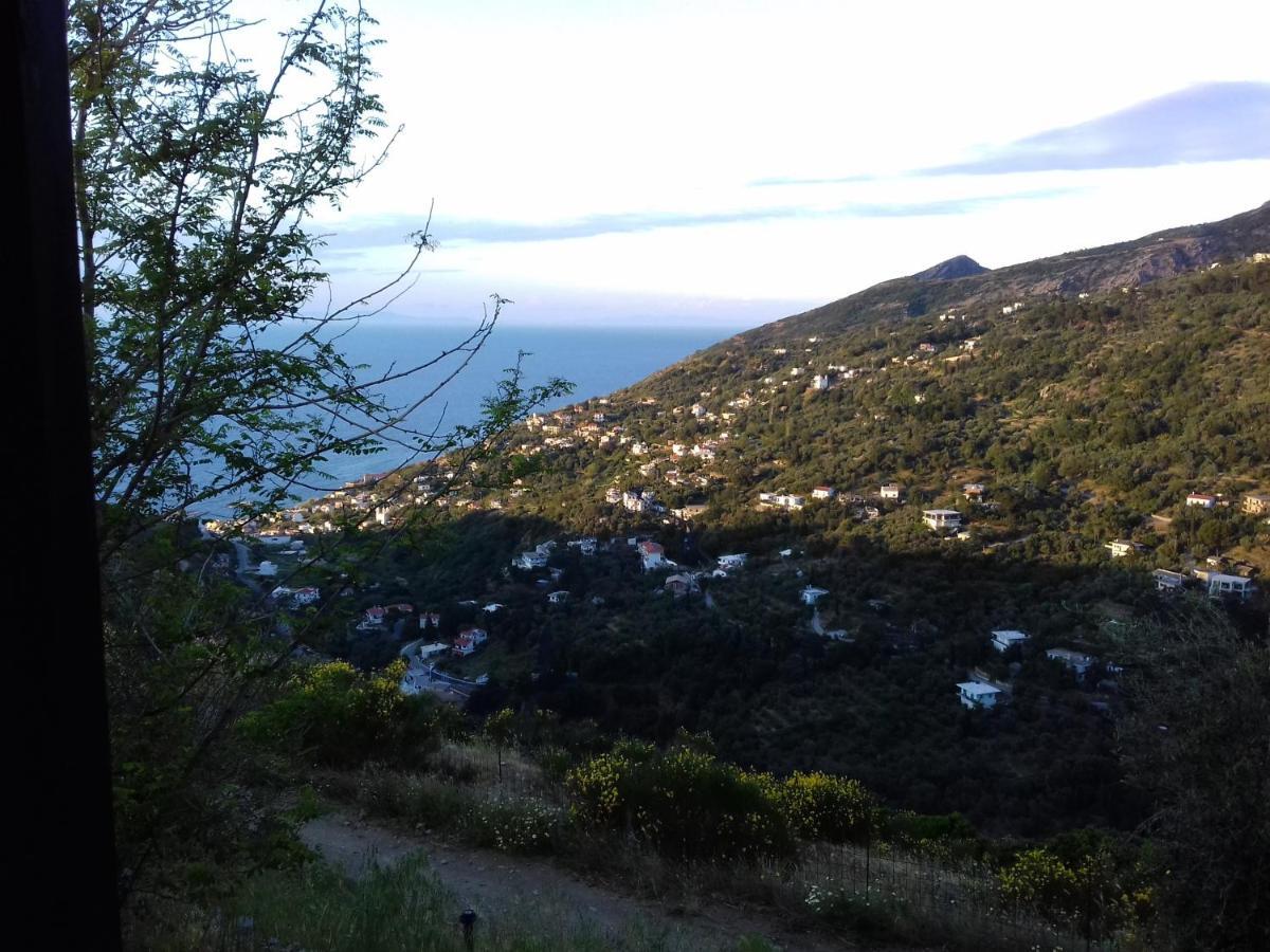 Ikarian Centre - Accommodation & Mountain Hiking إفديلوس المظهر الخارجي الصورة
